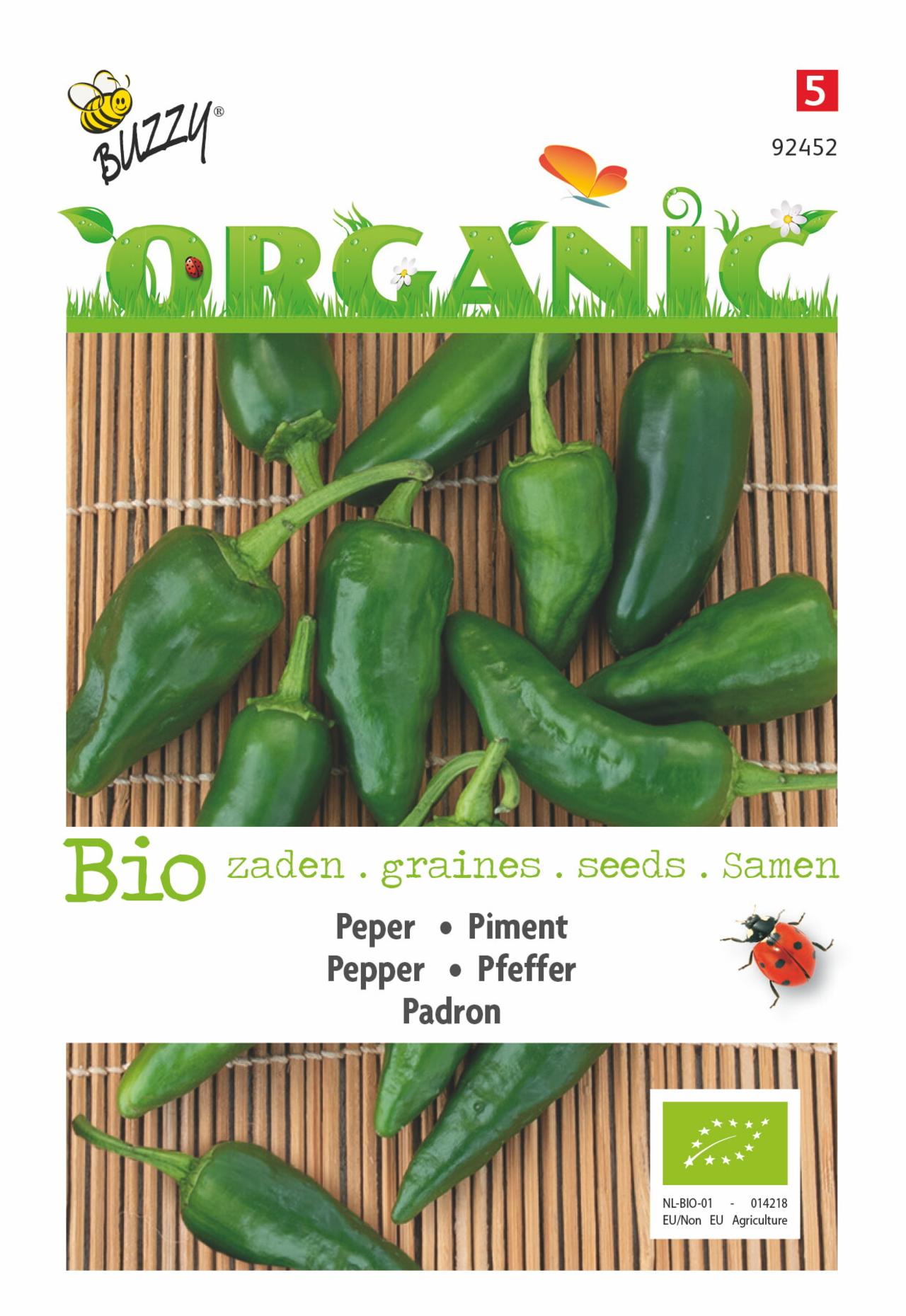 Capsicum annuum 'Padron' (BIO) plant