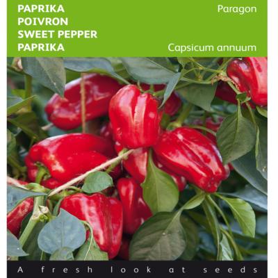 capsicum-annuum-paragon