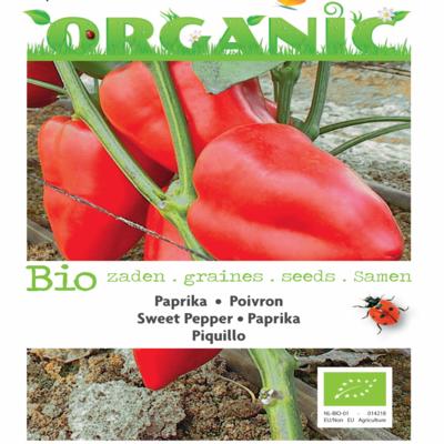 capsicum-annuum-piquillo-bio