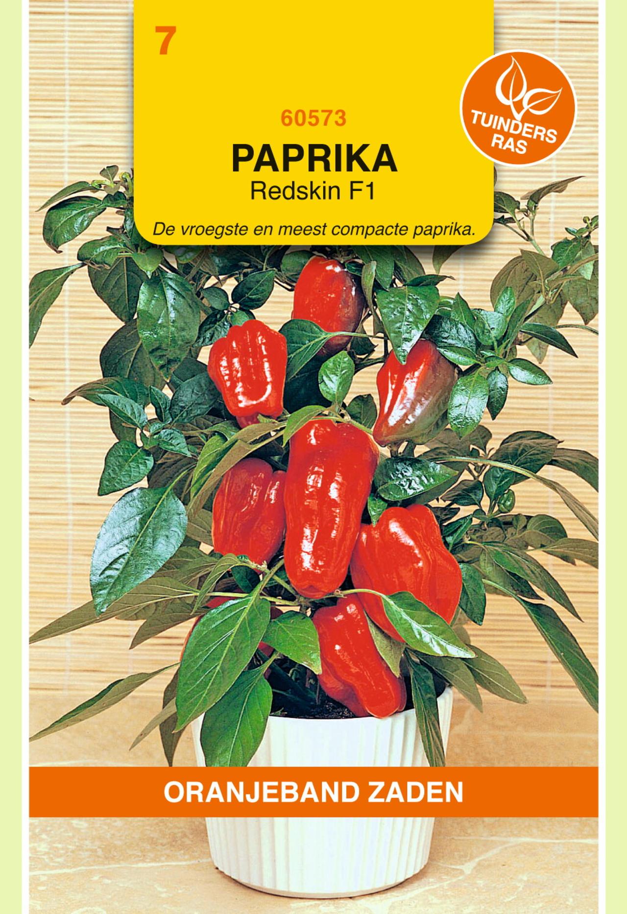 Capsicum annuum 'Redskin F1' plant