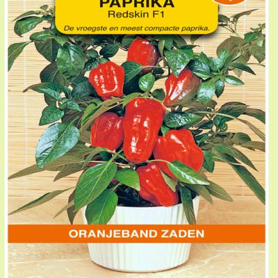 capsicum-annuum-redskin-f1