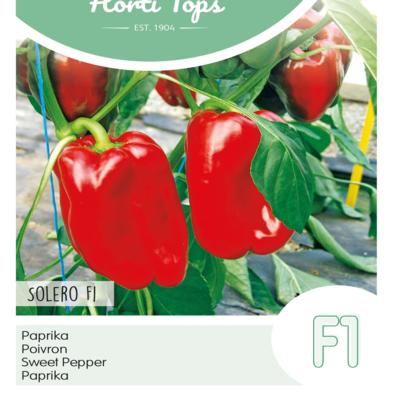 capsicum-annuum-solero-f1