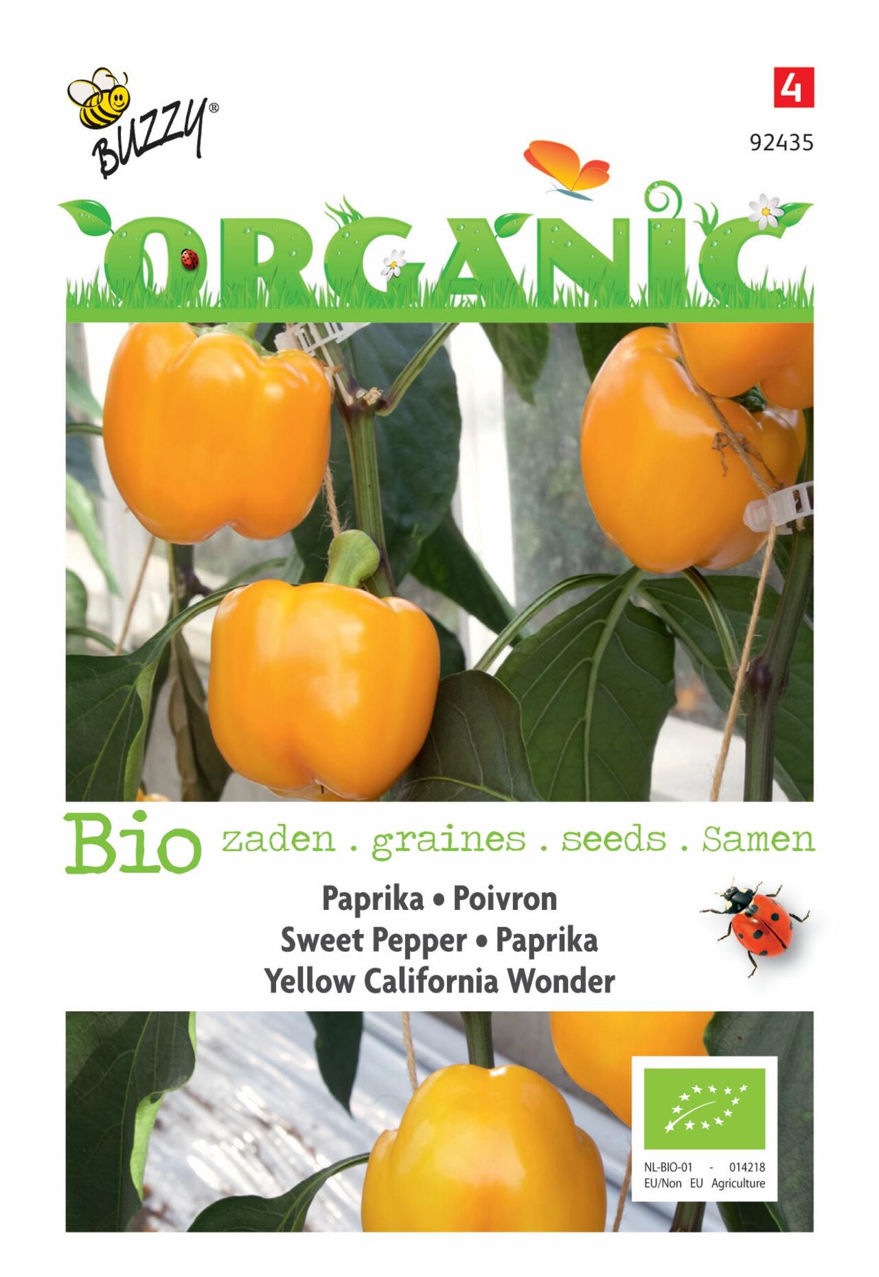Capsicum annuum 'Yellow California Wonder' (BIO) plant