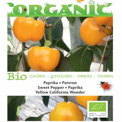 capsicum-annuum-yellow-california-wonder-bio