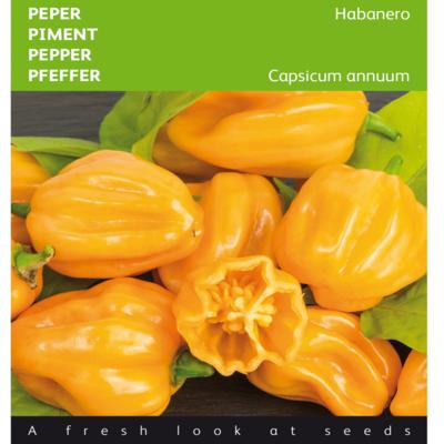 capsicum-chinense-habanero