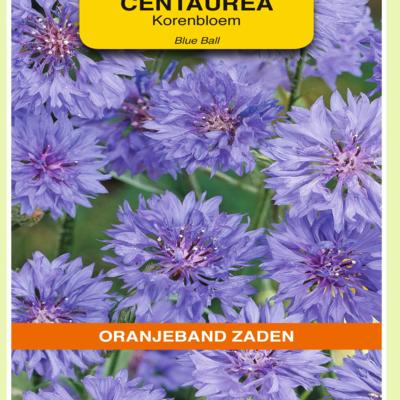 centaurea-cyanus-blue-ball