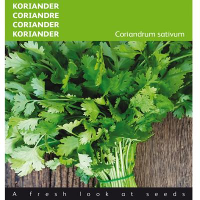 coriandrum-sativum-grootzadig