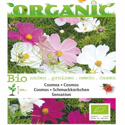 cosmos-bipinnatus-sensation-bio