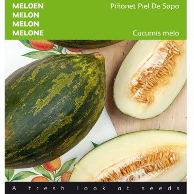 cucumis-melo-pinonet-piel-de-sapo