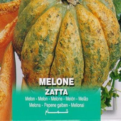 cucumis-melo-zatta