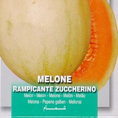 cucumis-melo-zuccherino