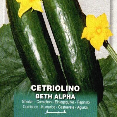 cucumis-sativus-beth-alpha