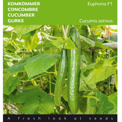 cucumis-sativus-euphoria-f1