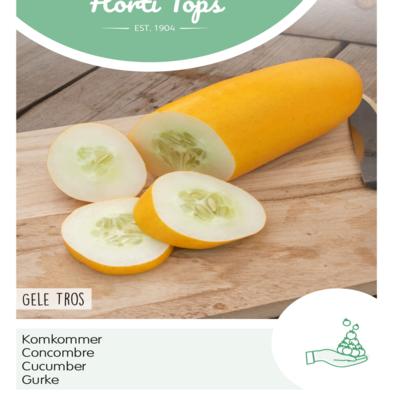 cucumis-sativus-gele-tros