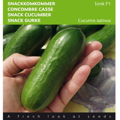 cucumis-sativus-iznik-f1