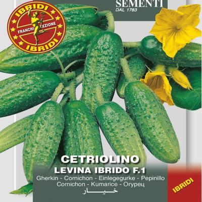 cucumis-sativus-levina-f1