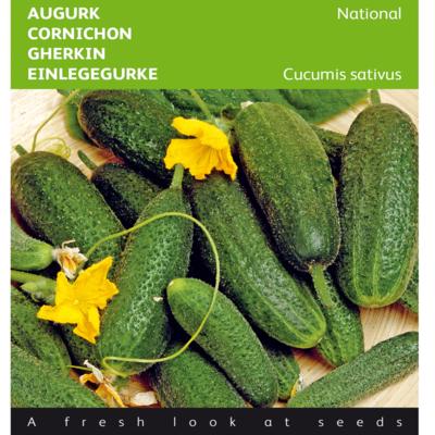 cucumis-sativus-national