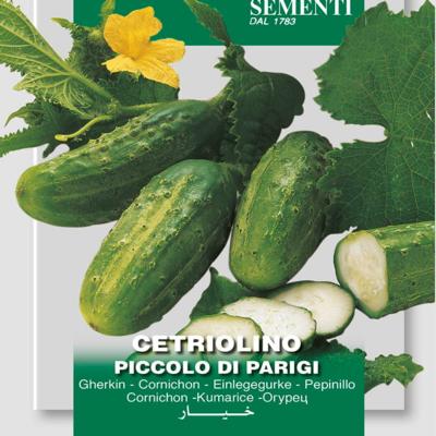 cucumis-sativus-piccolo-di-parigi