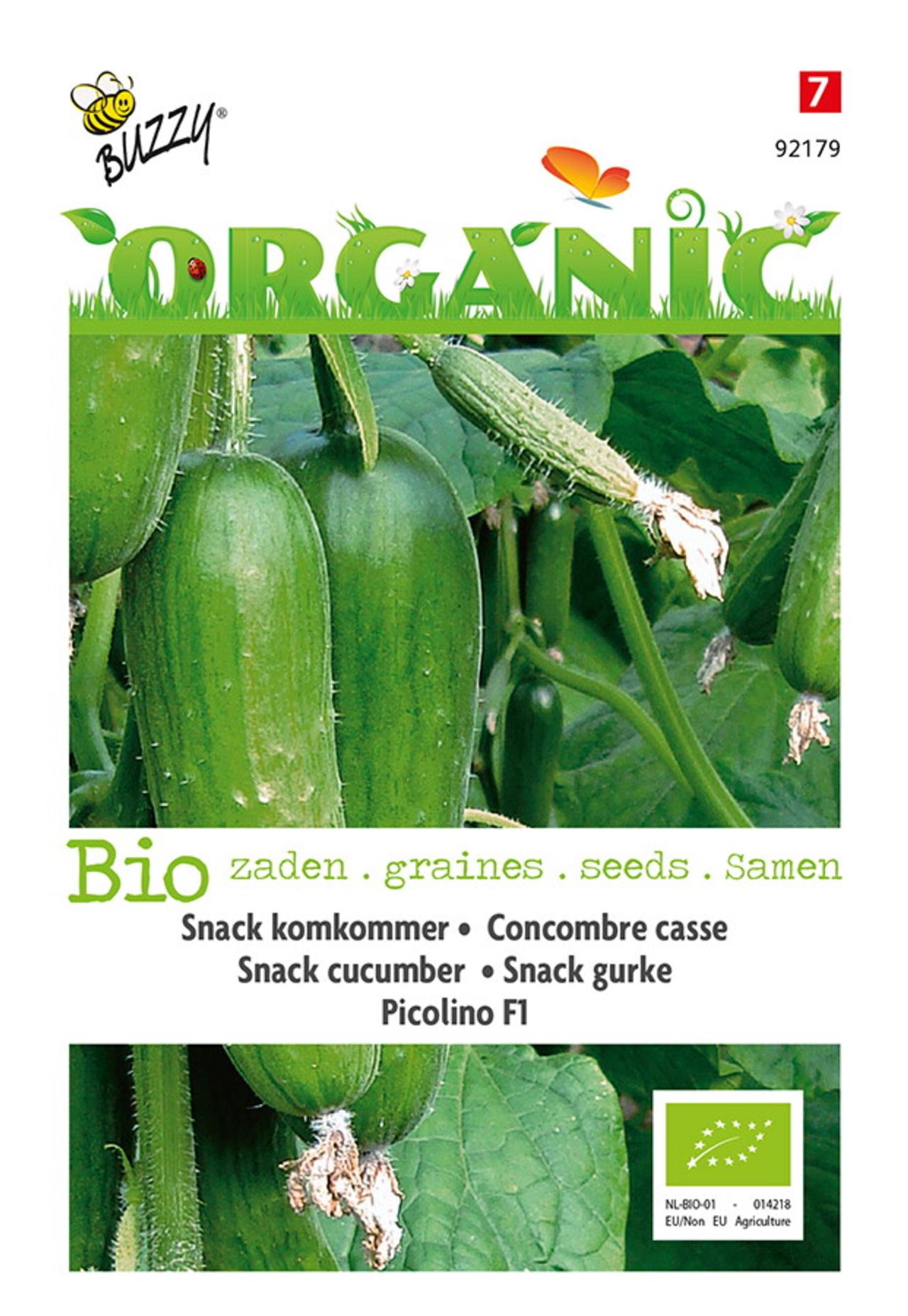 Cucumis sativus 'Picolino F1' (BIO) plant