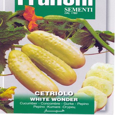 cucumis-sativus-white-wonder