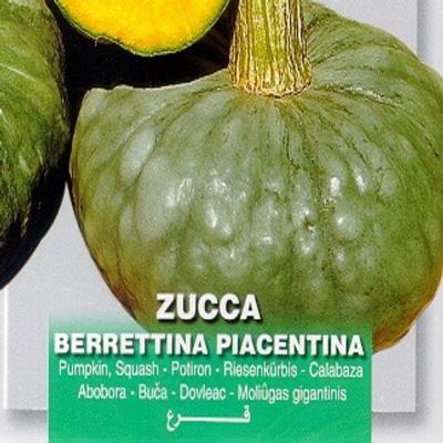 cucurbita-maxima-piacentina