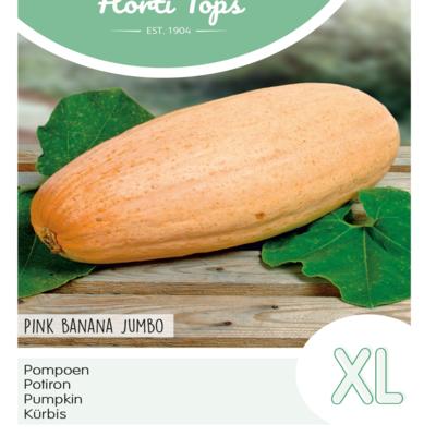 cucurbita-maxima-pink-banana-jumbo