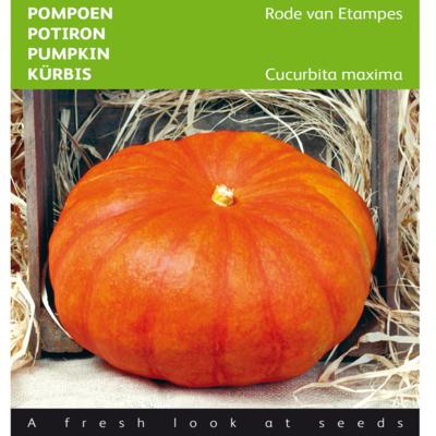 cucurbita-maxima-rode-van-etampes