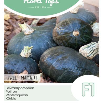 cucurbita-maxima-sweet-mama-f1