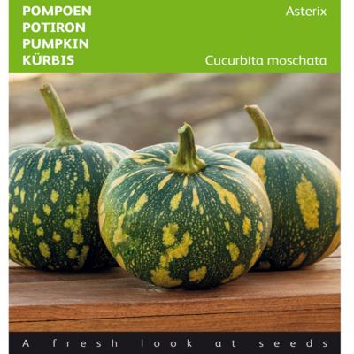 cucurbita-moschata-asterix