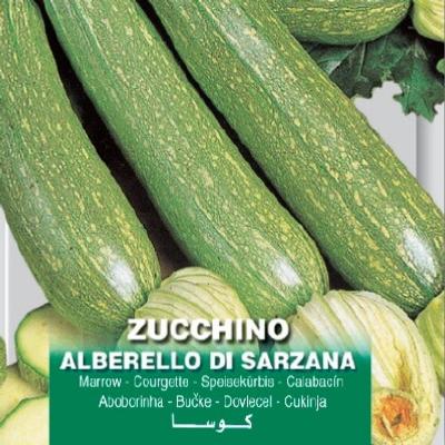 cucurbita-pepo-alberello-di-sarzana