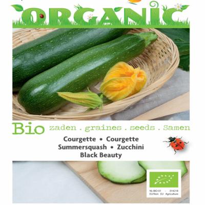 cucurbita-pepo-black-beauty-bio