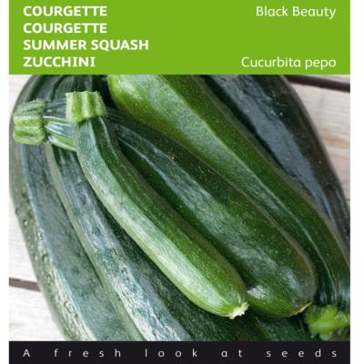 cucurbita-pepo-black-beauty