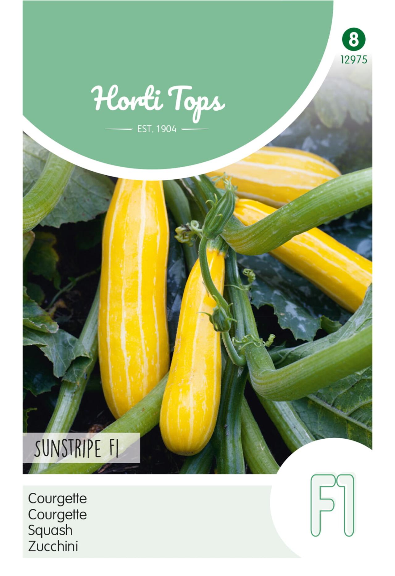 Cucurbita pepo 'Courgette Sunstripe F1' plant