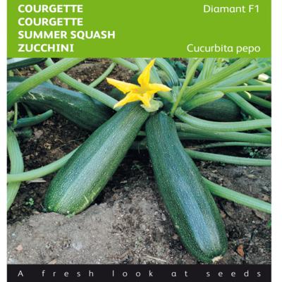 cucurbita-pepo-diamant-f1