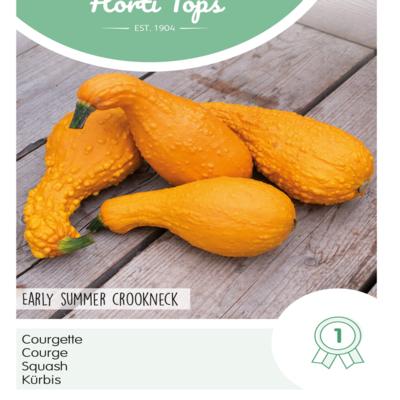 cucurbita-pepo-early-summer-crookneck