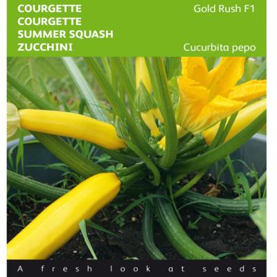 cucurbita-pepo-gold-rush-f1