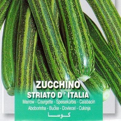 cucurbita-pepo-striato-ditalia