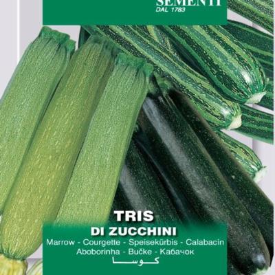 cucurbita-pepo-tris-marrow