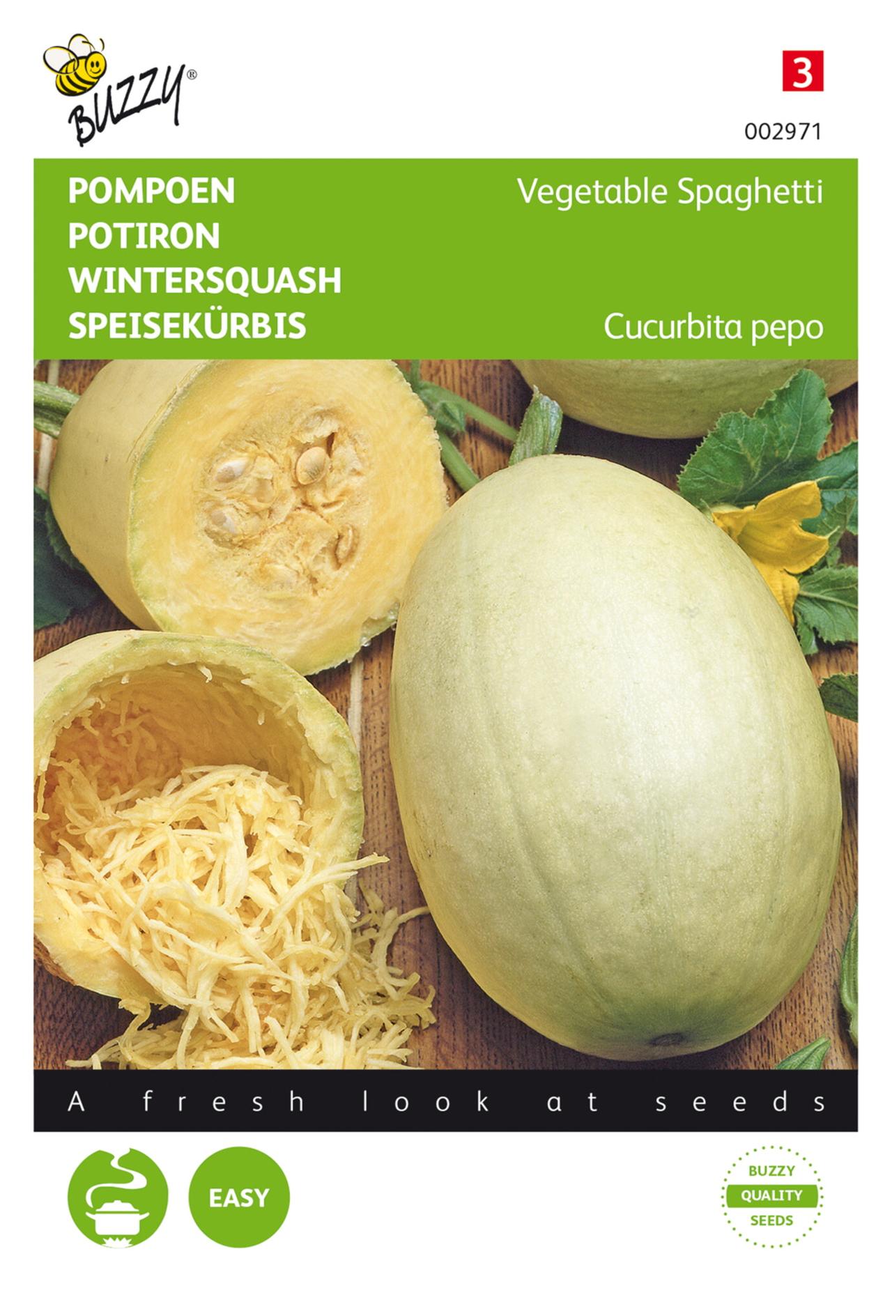 Cucurbita pepo 'Vegetable spaghetti' plant