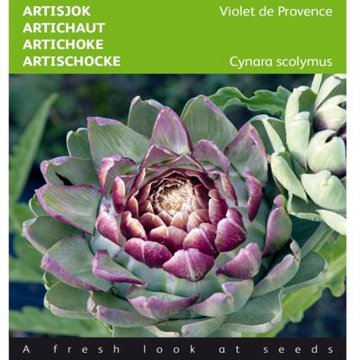 cynara-cardunculus-violet-de-provence