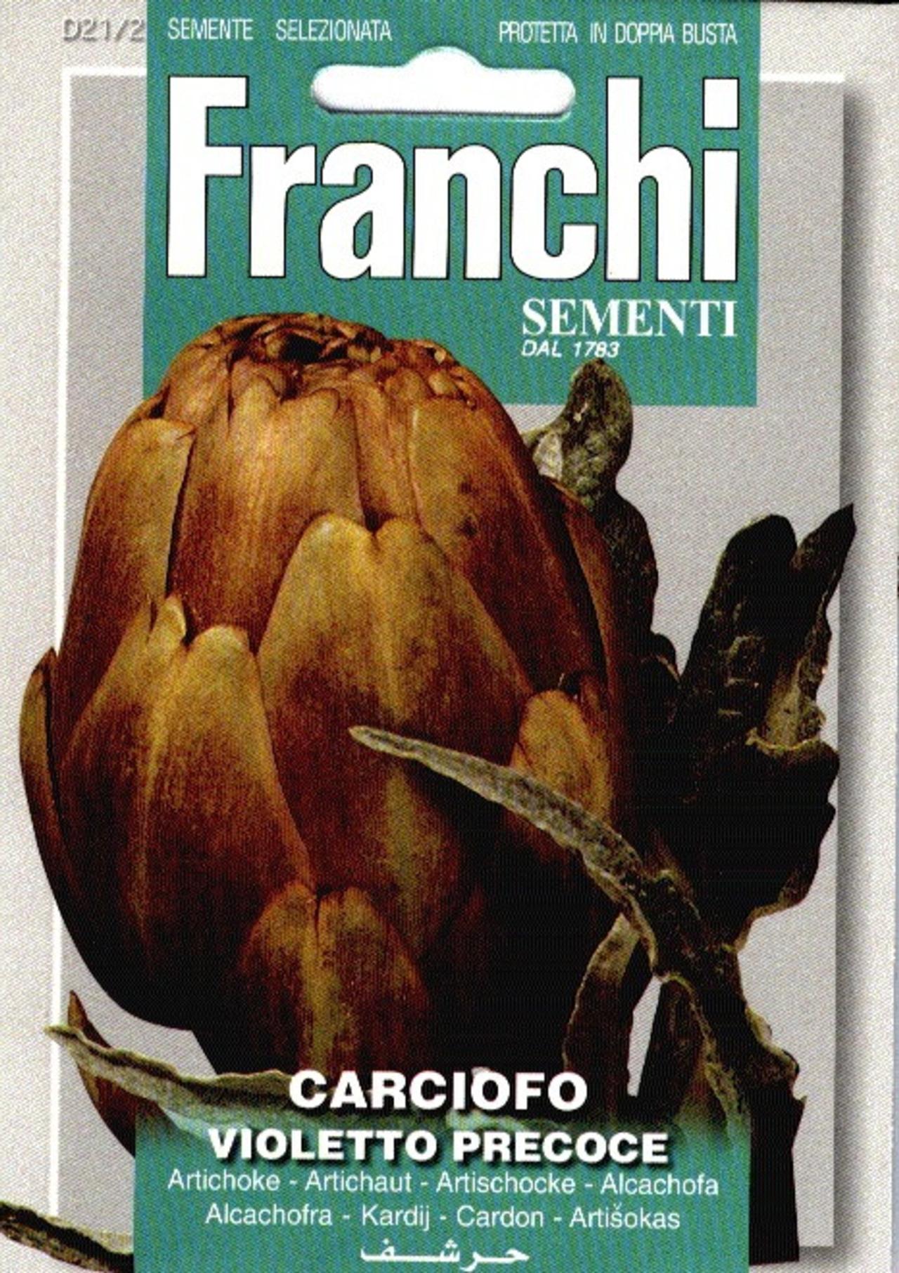 Cynara cardunculus 'Violetto Precoce' plant