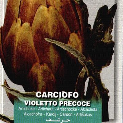 cynara-cardunculus-violetto-precoce