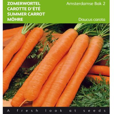 daucus-carota-amsterdamse-bak-2