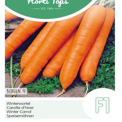 daucus-carota-bergen-f1