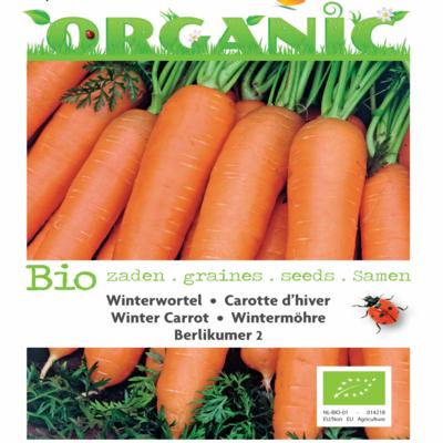 daucus-carota-berlikumer-2-bio