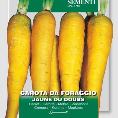 daucus-carota-da-foraggio