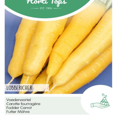 daucus-carota-lobbericher