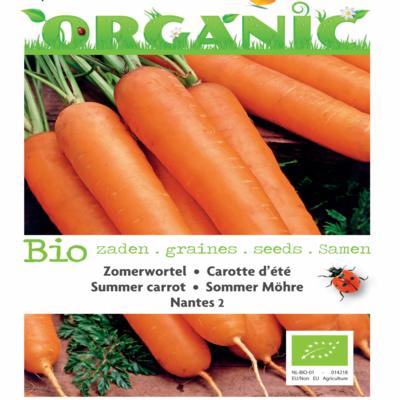 daucus-carota-nantes-2-bio