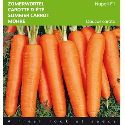 daucus-carota-napoli-f1