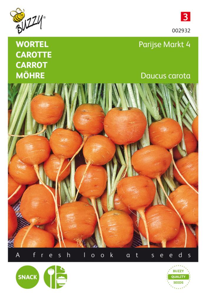 Daucus carota 'Parijse Markt 4' plant